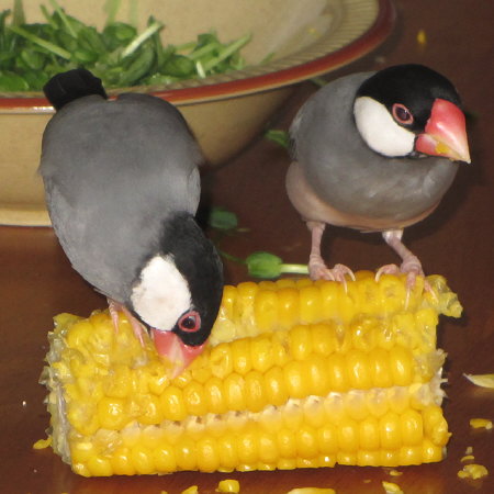 Untitled1.jpg