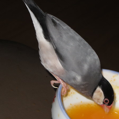 Untitled1.jpg
