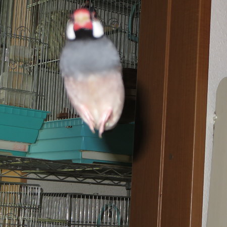 Untitled1.jpg