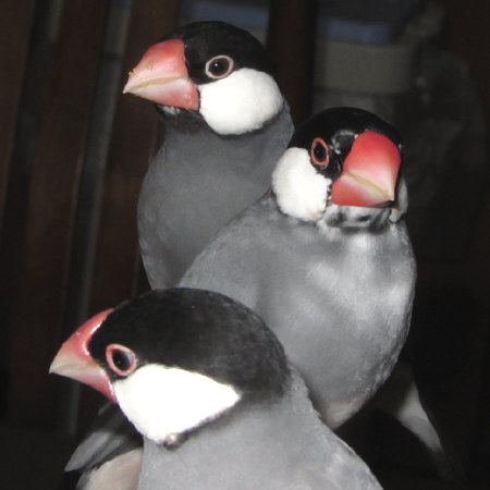 Untitled1.jpg