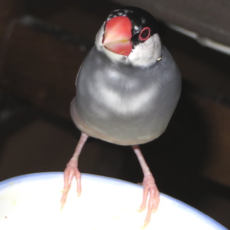Untitled1.jpg