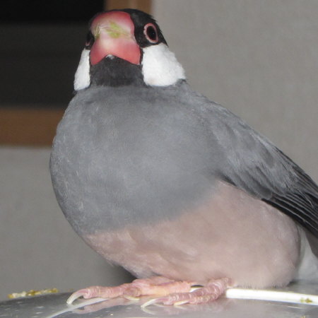 Untitled1.jpg