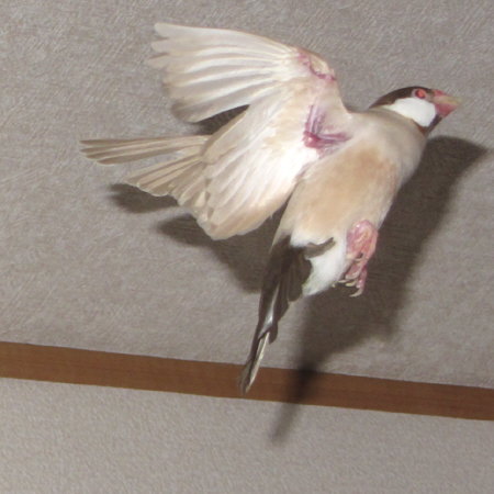 Untitled1.jpg