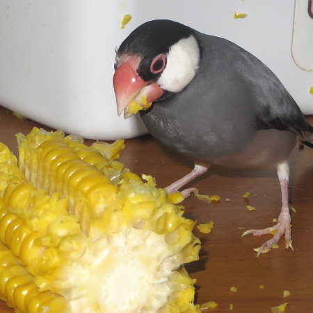 Untitled1.jpg