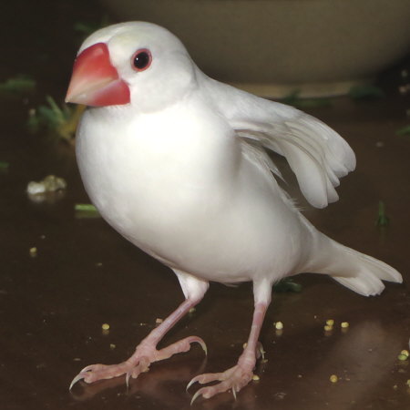 Untitled1.jpg