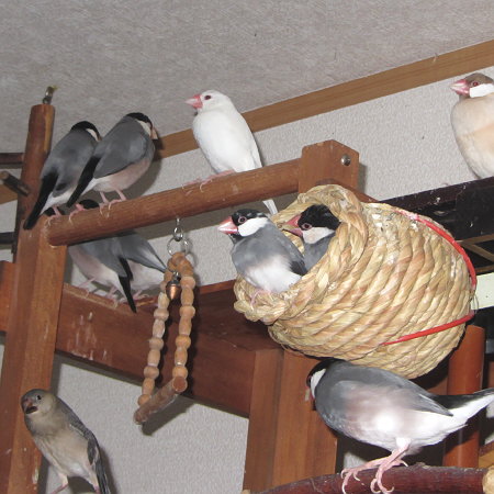 Untitled1.jpg