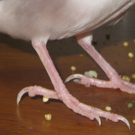 Untitled2.jpg