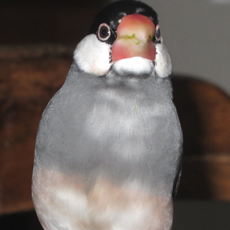 Untitled1.jpg