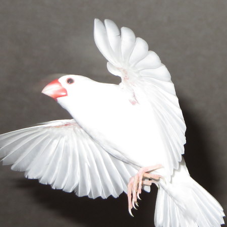 Untitled1.jpg