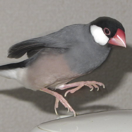 Untitled1.jpg