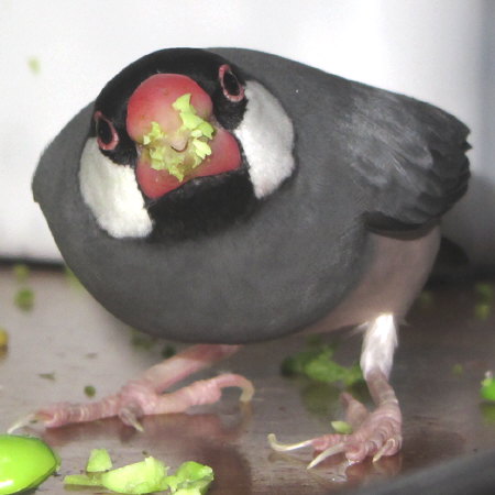 Untitled1.jpg