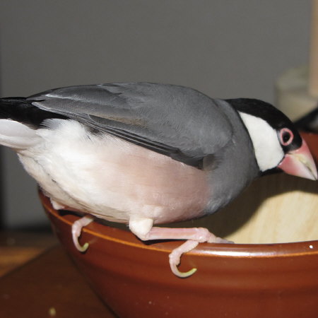 Untitled1.jpg