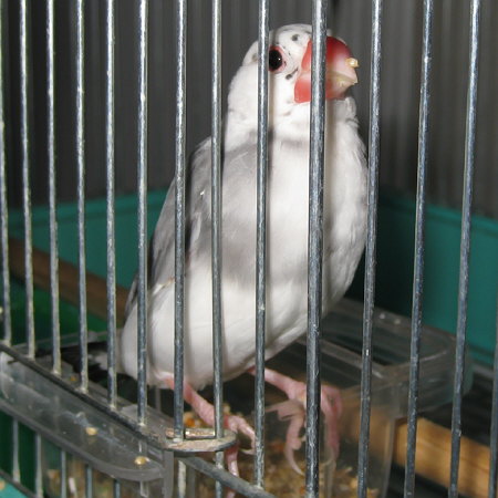 201005.jpg