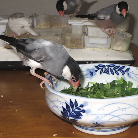 Untitled1.jpg