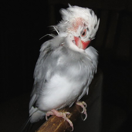 201206.jpg