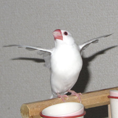 Untitled1.jpg