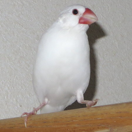 Untitled1.jpg