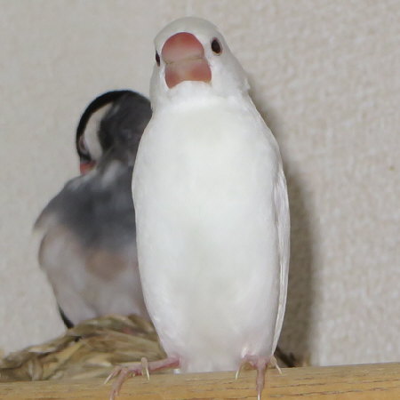 Untitled1.jpg