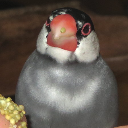 Untitled1.jpg