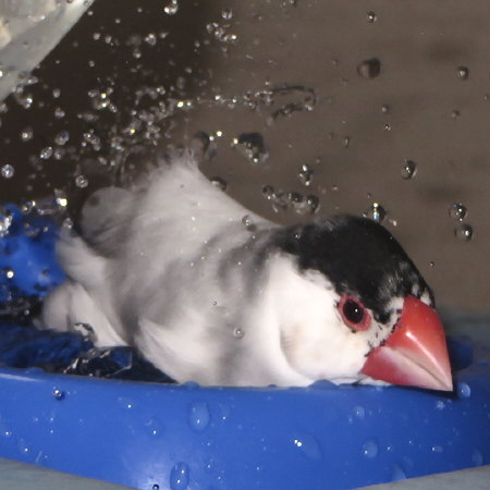 Untitled1.jpg