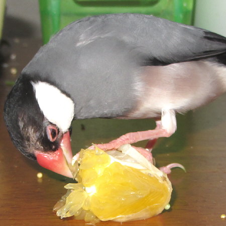 Untitled1.jpg