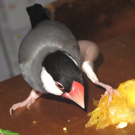 Untitled1.jpg