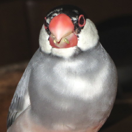 Untitled1.jpg
