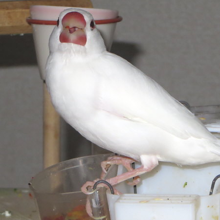 Untitled1.jpg