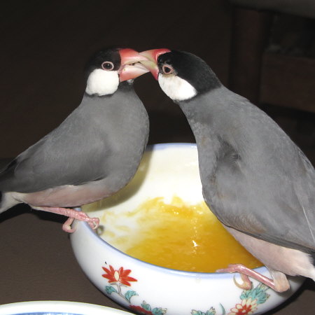 Untitled1.jpg