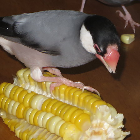 Untitled1.jpg