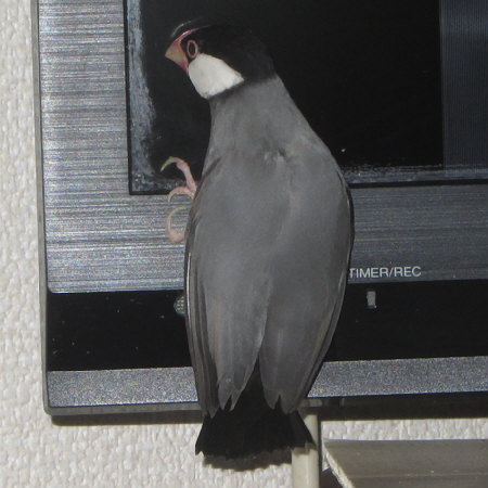Untitled4.jpg