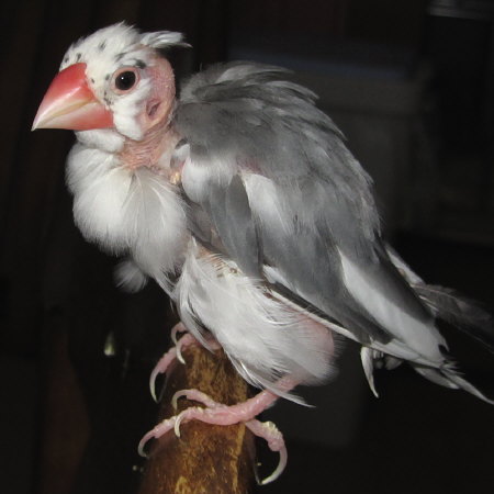 201307.jpg