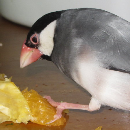 Untitled1.jpg
