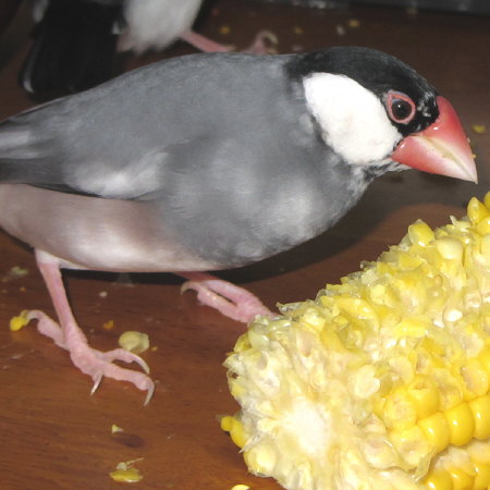 Untitled1.jpg