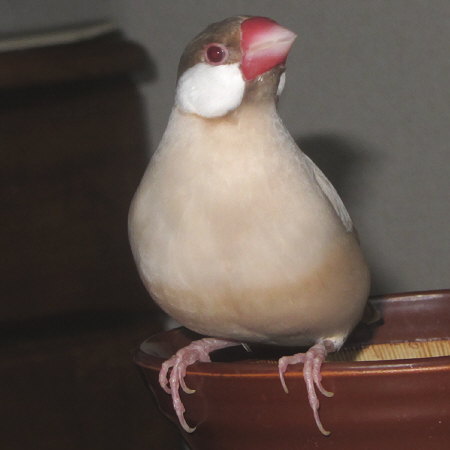 Untitled1.jpg