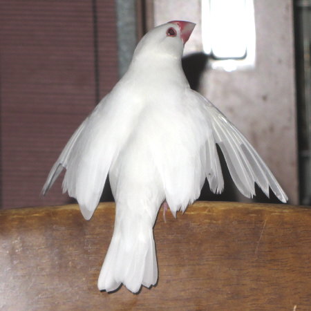 Untitled1.jpg
