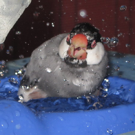 Untitled1.jpg