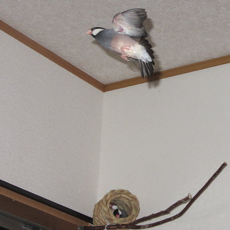 Untitled2.jpg
