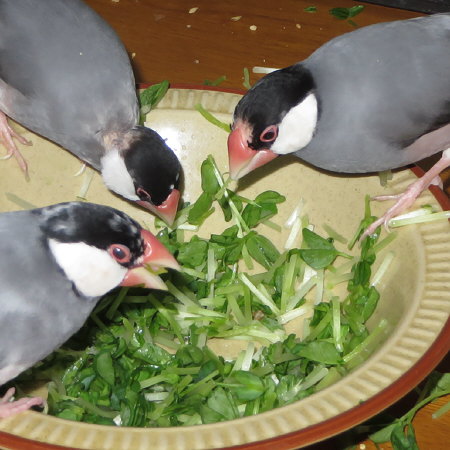 Untitled1.jpg