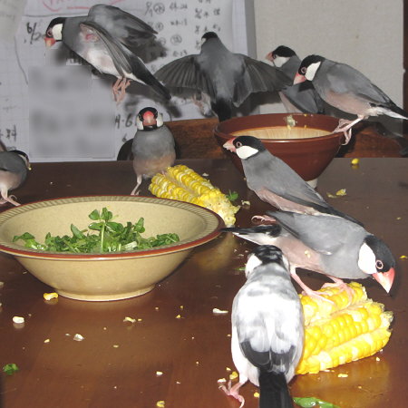 Untitled1.jpg