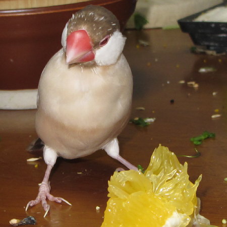 Untitled1.jpg
