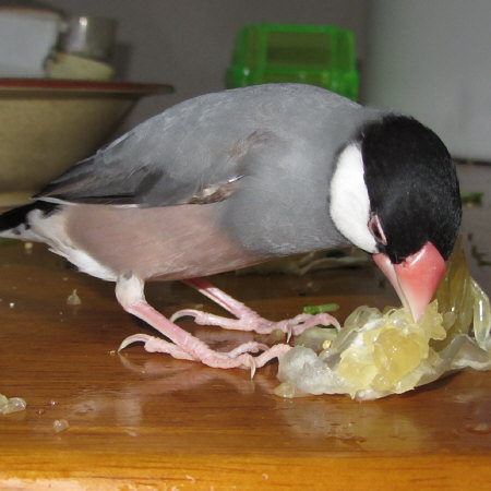 Untitled1.jpg