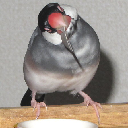 Untitled1.jpg