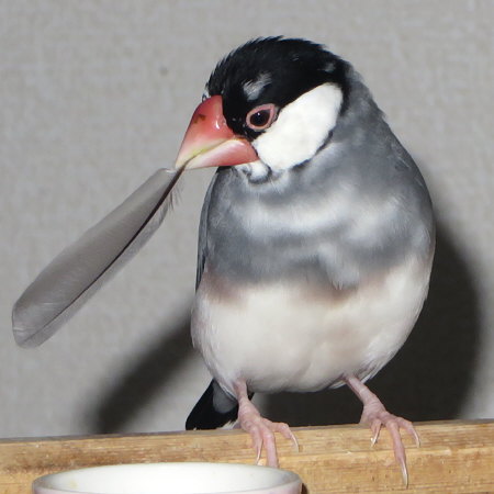 Untitled1.jpg