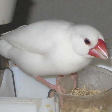 Untitled1.jpg