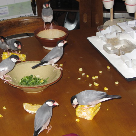 Untitled1.jpg