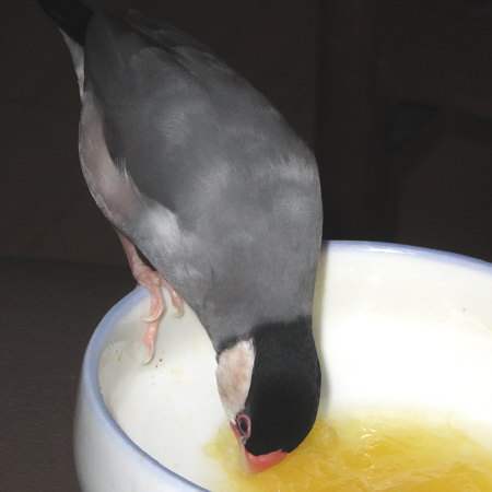 Untitled1.jpg