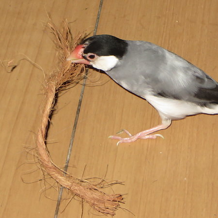 Untitled1.jpg