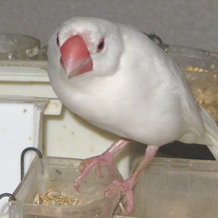 Untitled1.jpg