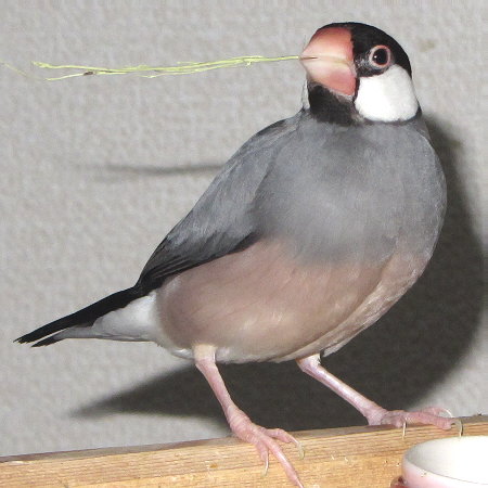 Untitled1.jpg